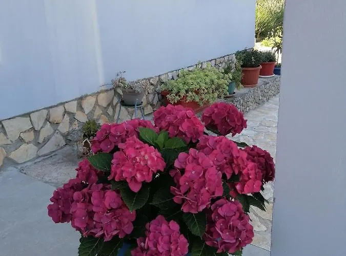 Διαμέρισμα Antonija *