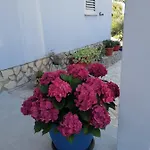 Apartment Antonija *