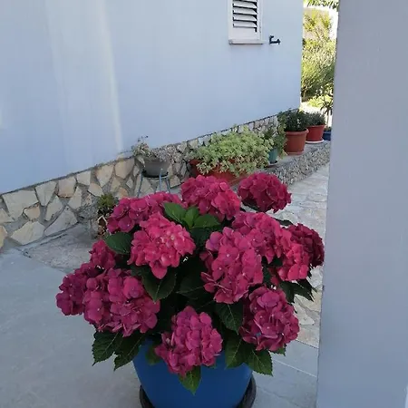 Apartamento Antonija *